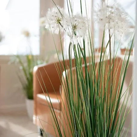 Hotel Angermeier Garni *