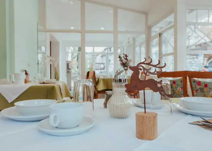 Angermeier Garni * اتشنغ