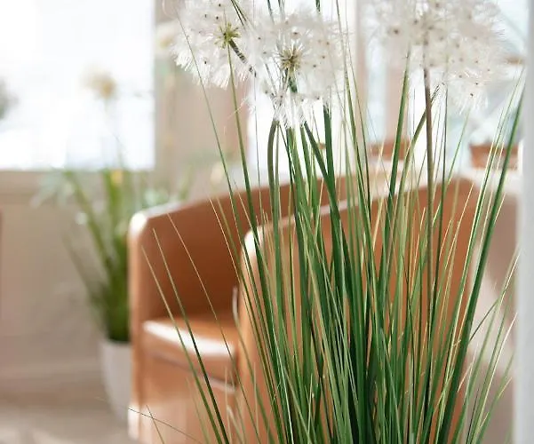 Hotel Angermeier Garni *